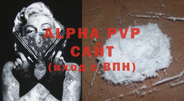 гашик Гусь-Хрустальный