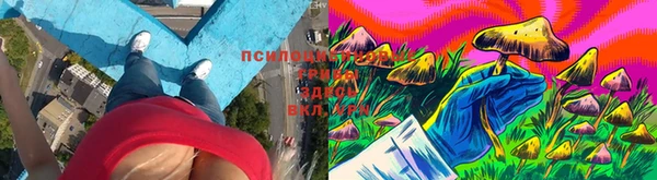гашик Гусь-Хрустальный