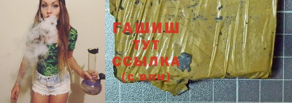 гашик Гусь-Хрустальный