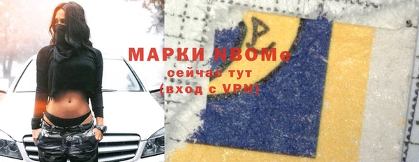 гашик Гусь-Хрустальный