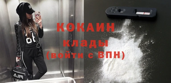 гашик Гусь-Хрустальный