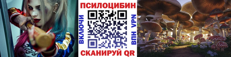 Псилоцибиновые грибы Psilocybe  Чебоксары 