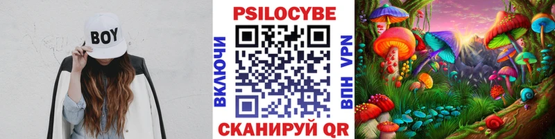 Галлюциногенные грибы мухоморы Чебоксары