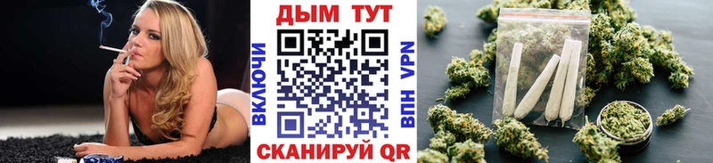 Бошки Шишки планчик  Чебоксары 